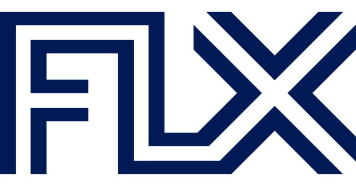 FLX-Logo